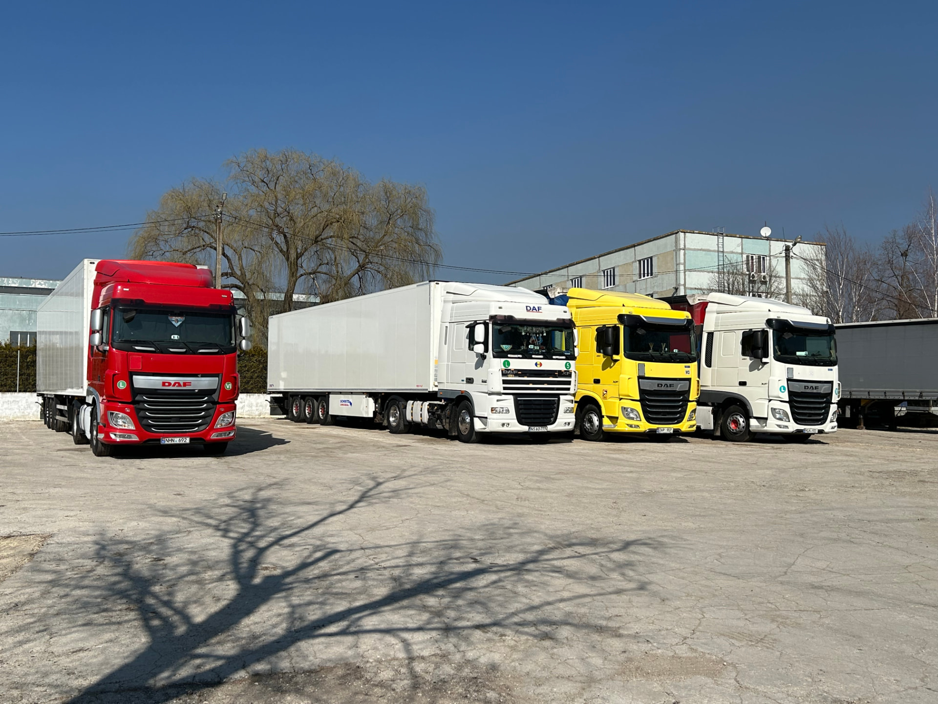 Flota Dafino Grup, cu patru camioane DAF pregătite pentru transport internațional